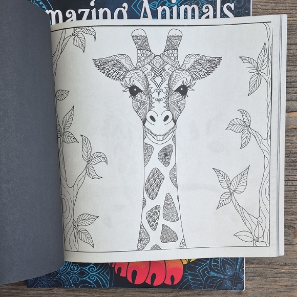 Colorful Adult Coloring Books Set - Picture 3 of 3